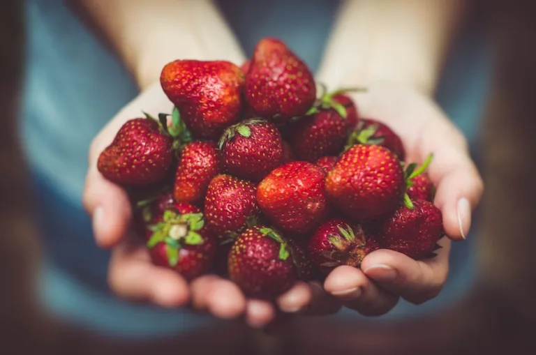 Alimentação e estilo de vida: dicas para encontrar o equilíbrio perfeito